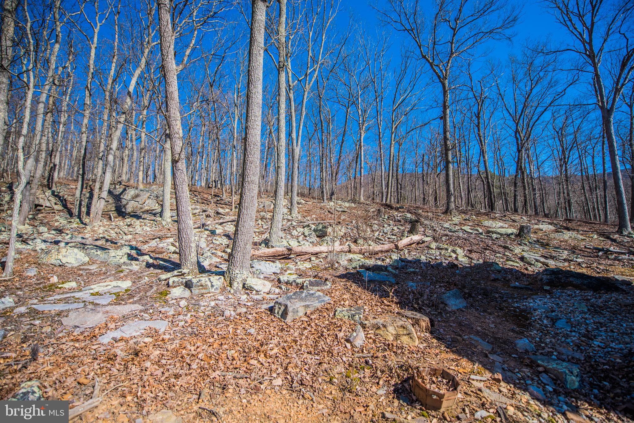 ROUSE MOUNTAIN - Residential
