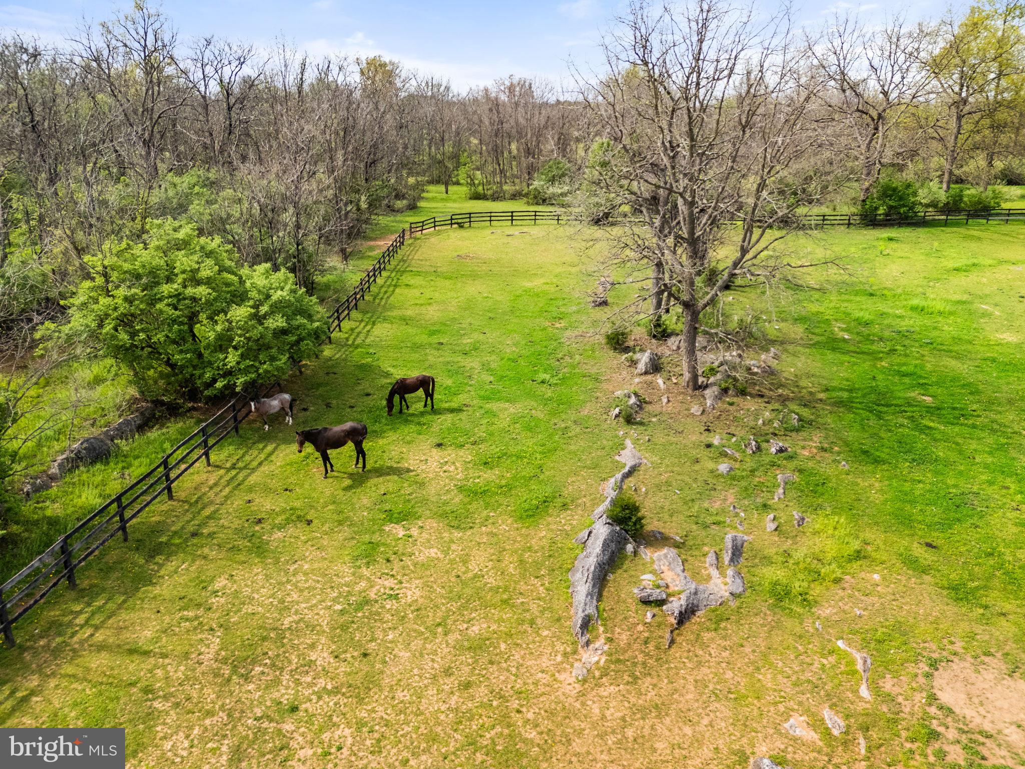 OLD RUSSELL FARM - Residential