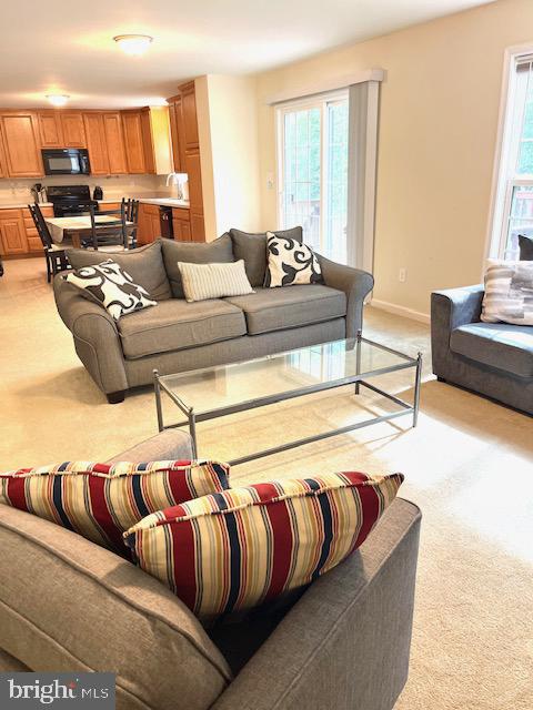 BAYBERRY ESTATES - Residential