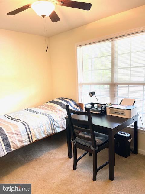 BAYBERRY ESTATES - Residential