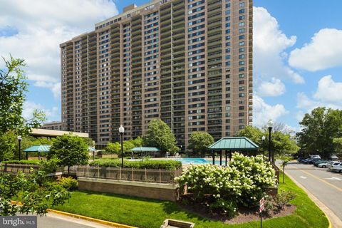 5505 SEMINARY ROAD 917N FALLS CHURCH VA 22041