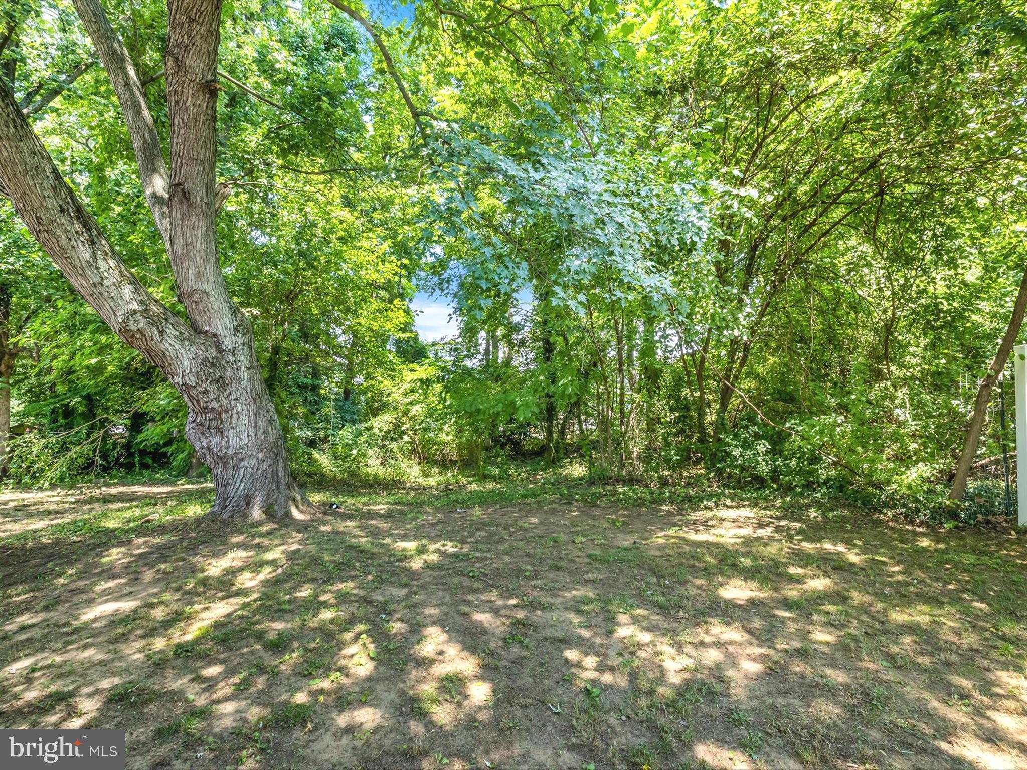 BRIGHTLEAF - Residential