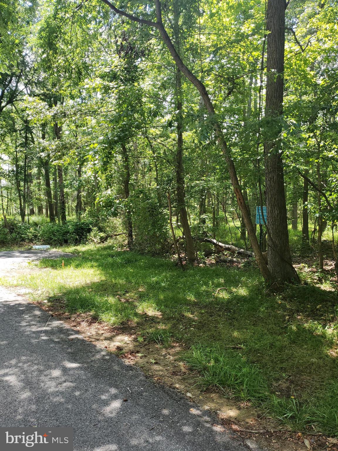 *****Where Creek Road ends there are 8 lots, then this lot is available for purchase, then 8 more lots and Creek Road picks back up. This lot sits in the middle of 17 lots. All infrastructural would need to be completed by buyer. ****** This 0.41 acre lot is water privilege community with beach, boat dock, boat slips, boat ramp and more. Public sewer hook up available is available in the community . Well would be the water source, See disclosures for lot location.