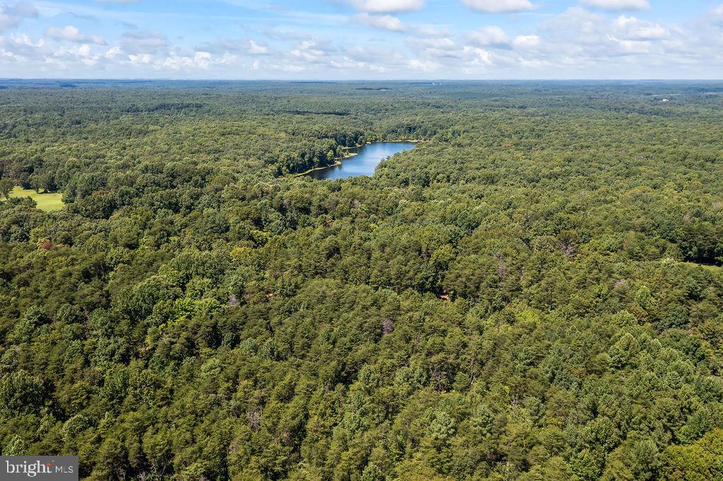 GREENWOOD PLANTATION - Land