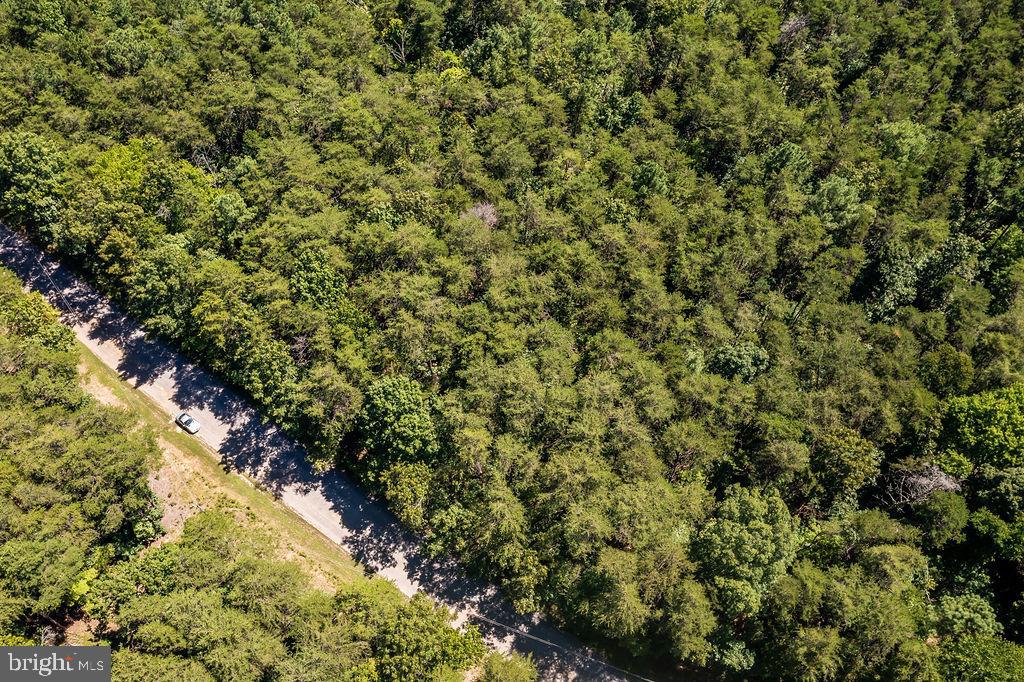 GREENWOOD PLANTATION - Land