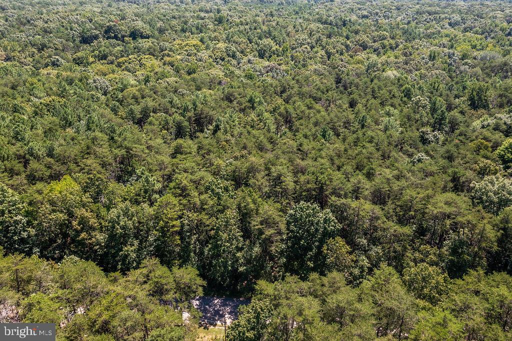 GREENWOOD PLANTATION - Land