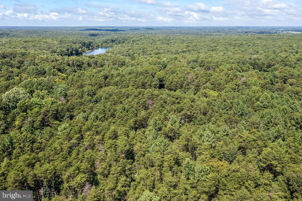 GREENWOOD PLANTATION - Land