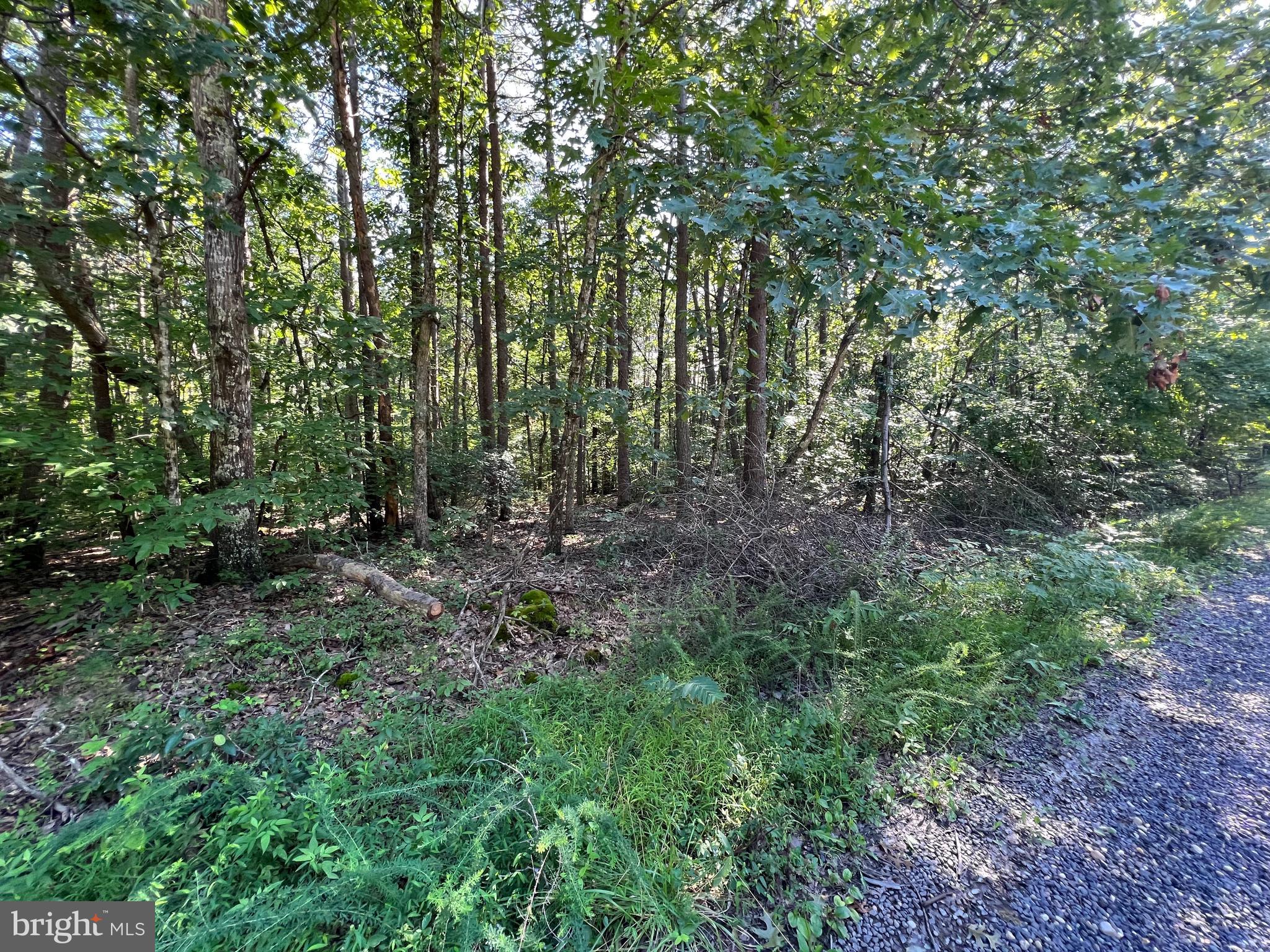 GREENWOOD PLANTATION - Land