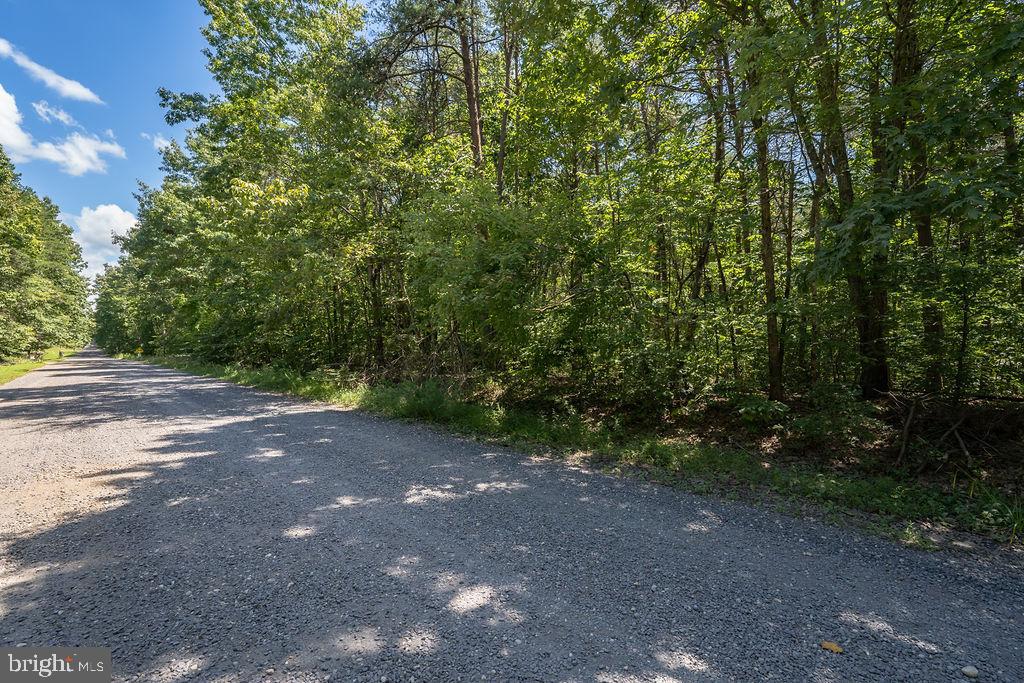 GREENWOOD PLANTATION - Land