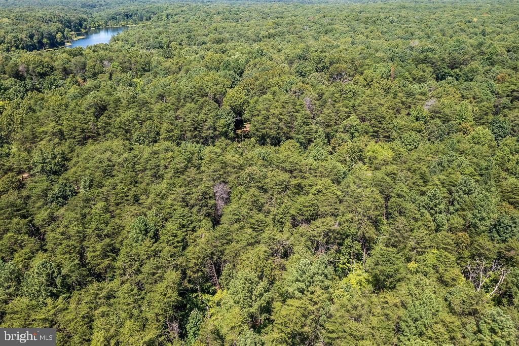 GREENWOOD PLANTATION - Land