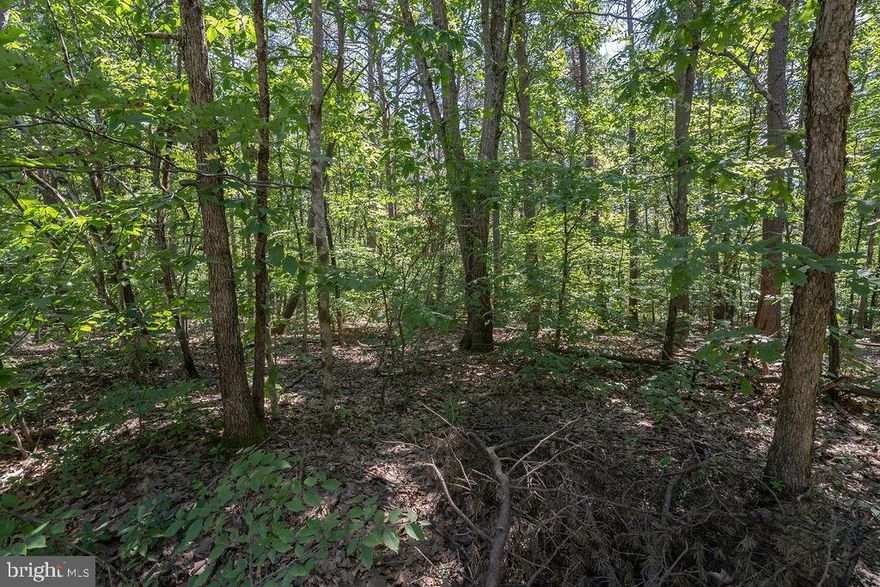 Build your dream home on this beautiful 10.10 acre wooded lot in Greenwood Plantation in Spotsylvania, VA.  Contact for more information.