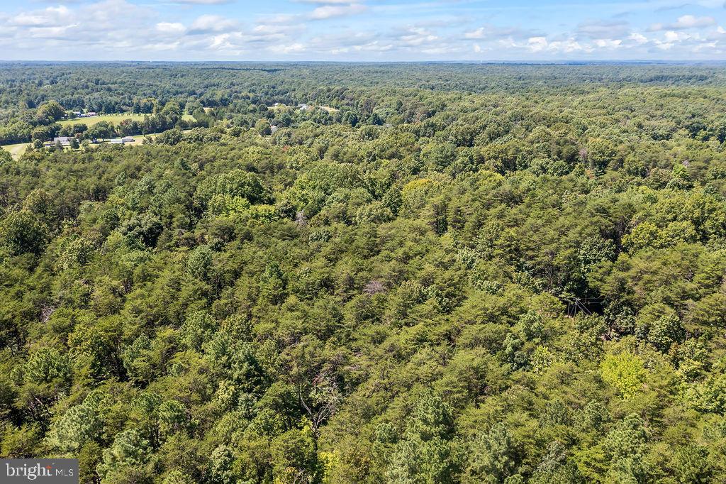 GREENWOOD PLANTATION - Land