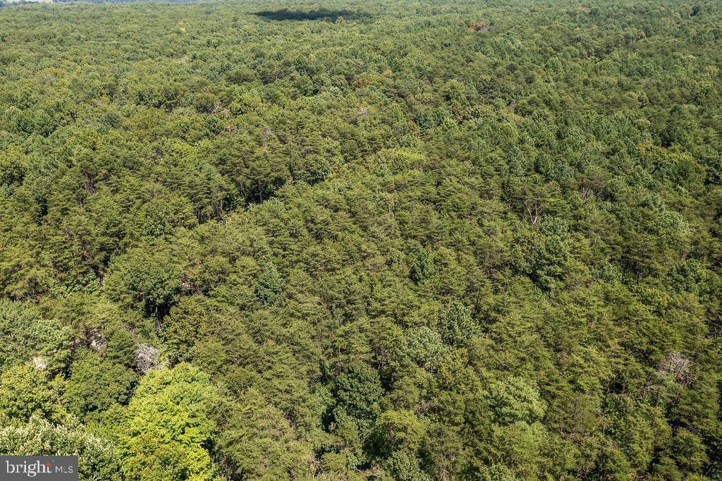 GREENWOOD PLANTATION - Land