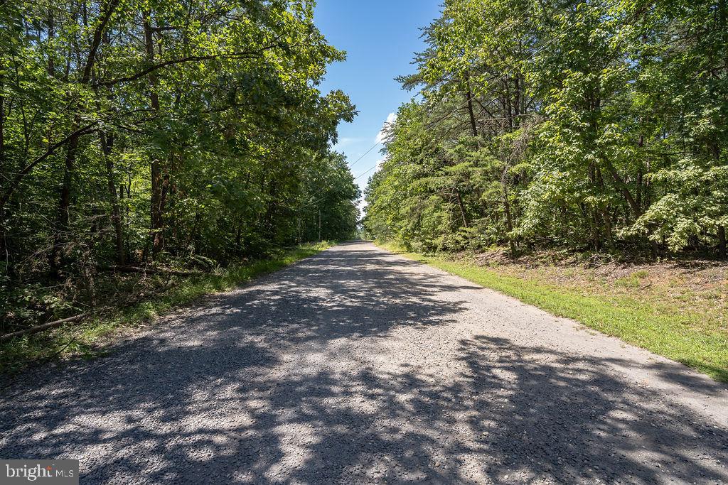 GREENWOOD PLANTATION - Land