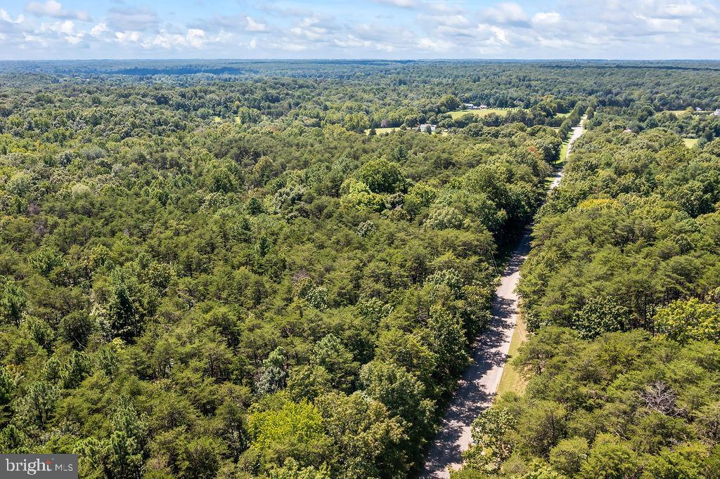 GREENWOOD PLANTATION - Land