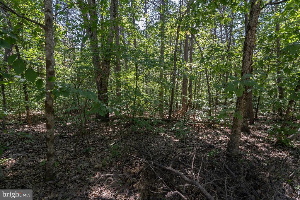 GREENWOOD PLANTATION - Land