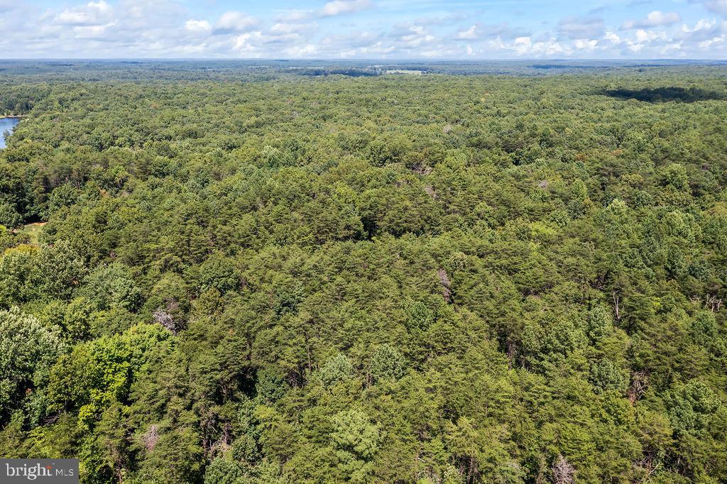 GREENWOOD PLANTATION - Land