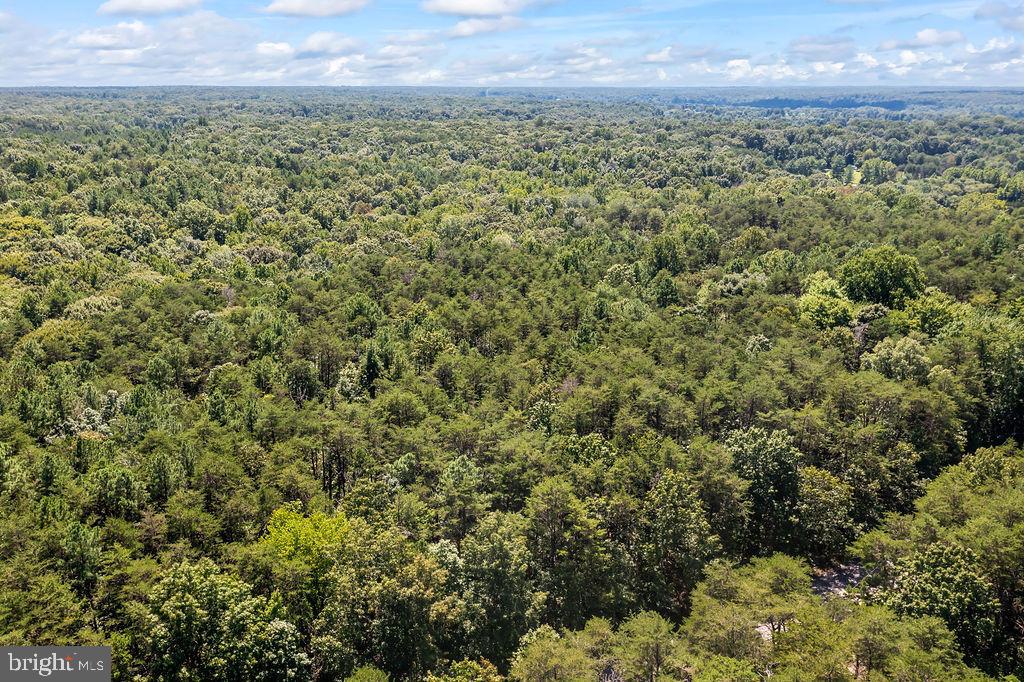 GREENWOOD PLANTATION - Land