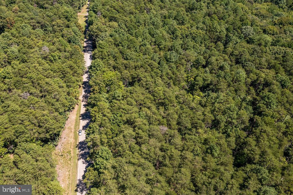 GREENWOOD PLANTATION - Land