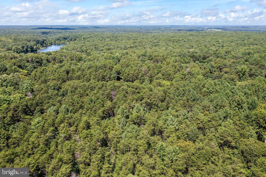 GREENWOOD PLANTATION - Land