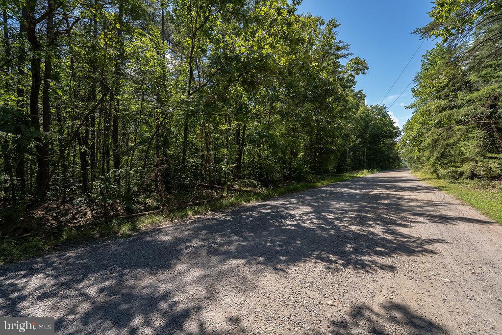 GREENWOOD PLANTATION - Land