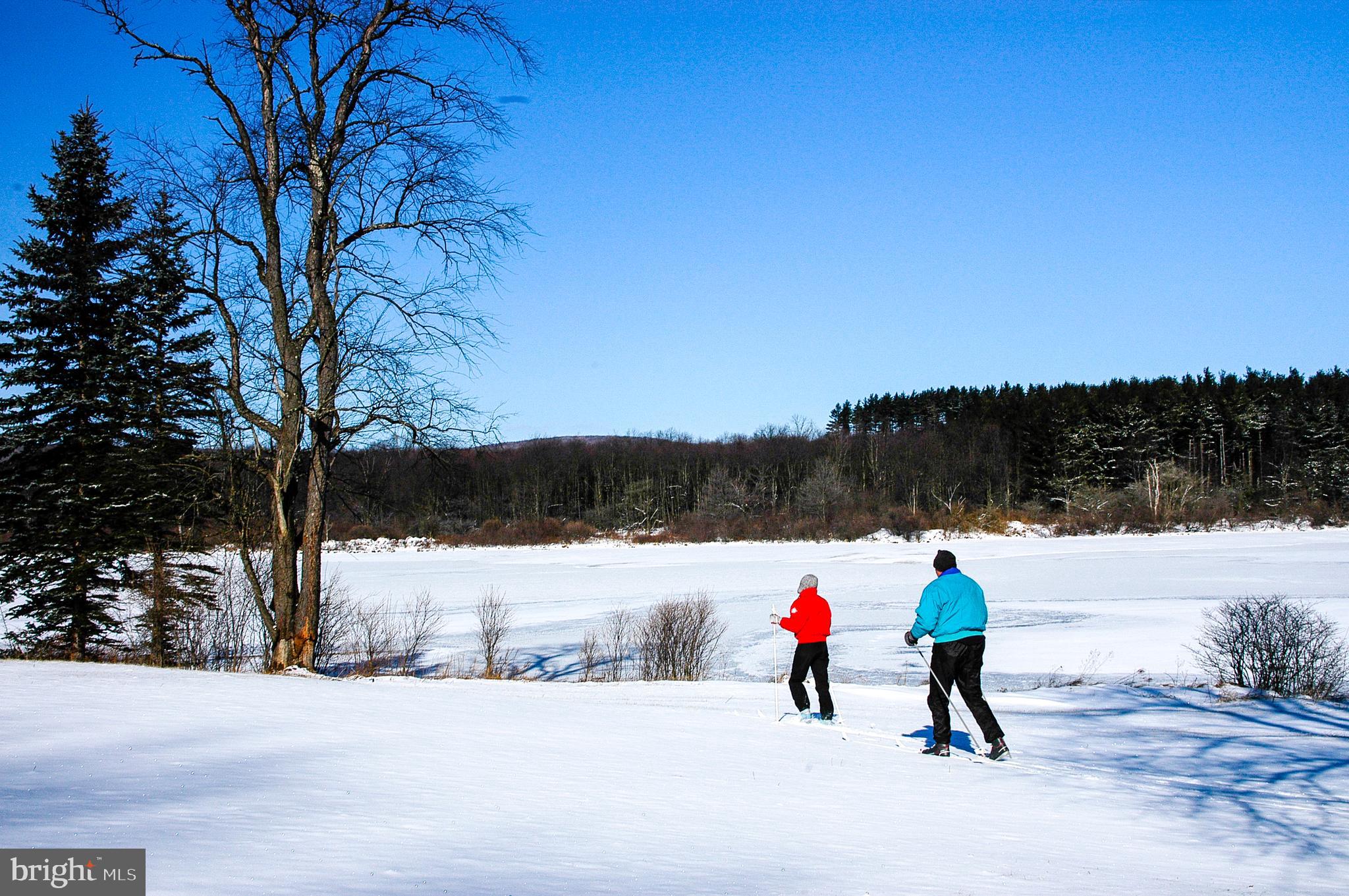 OVERLOOK CABINS - Residential