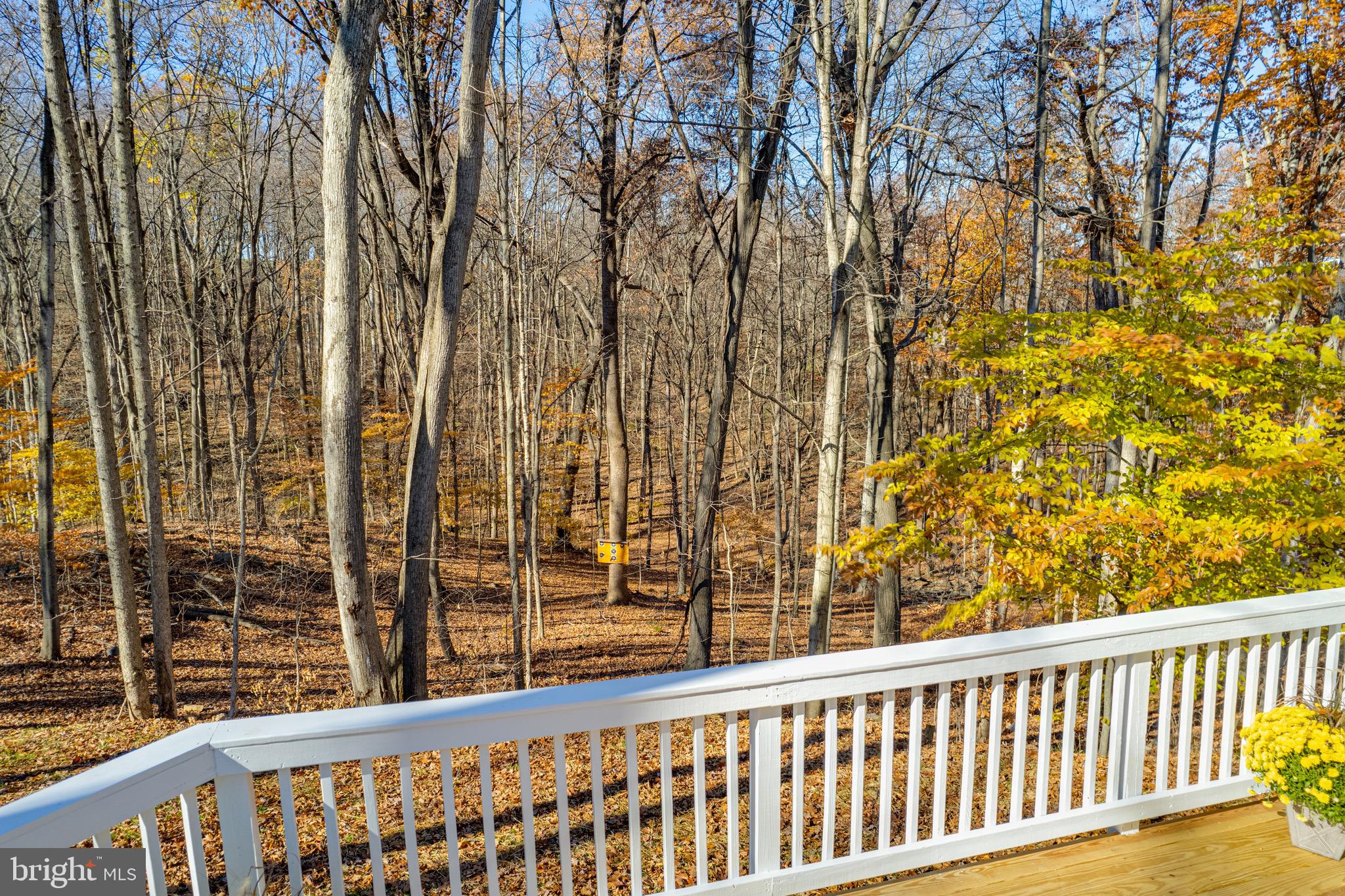 POTOMAC HILLS - Residential