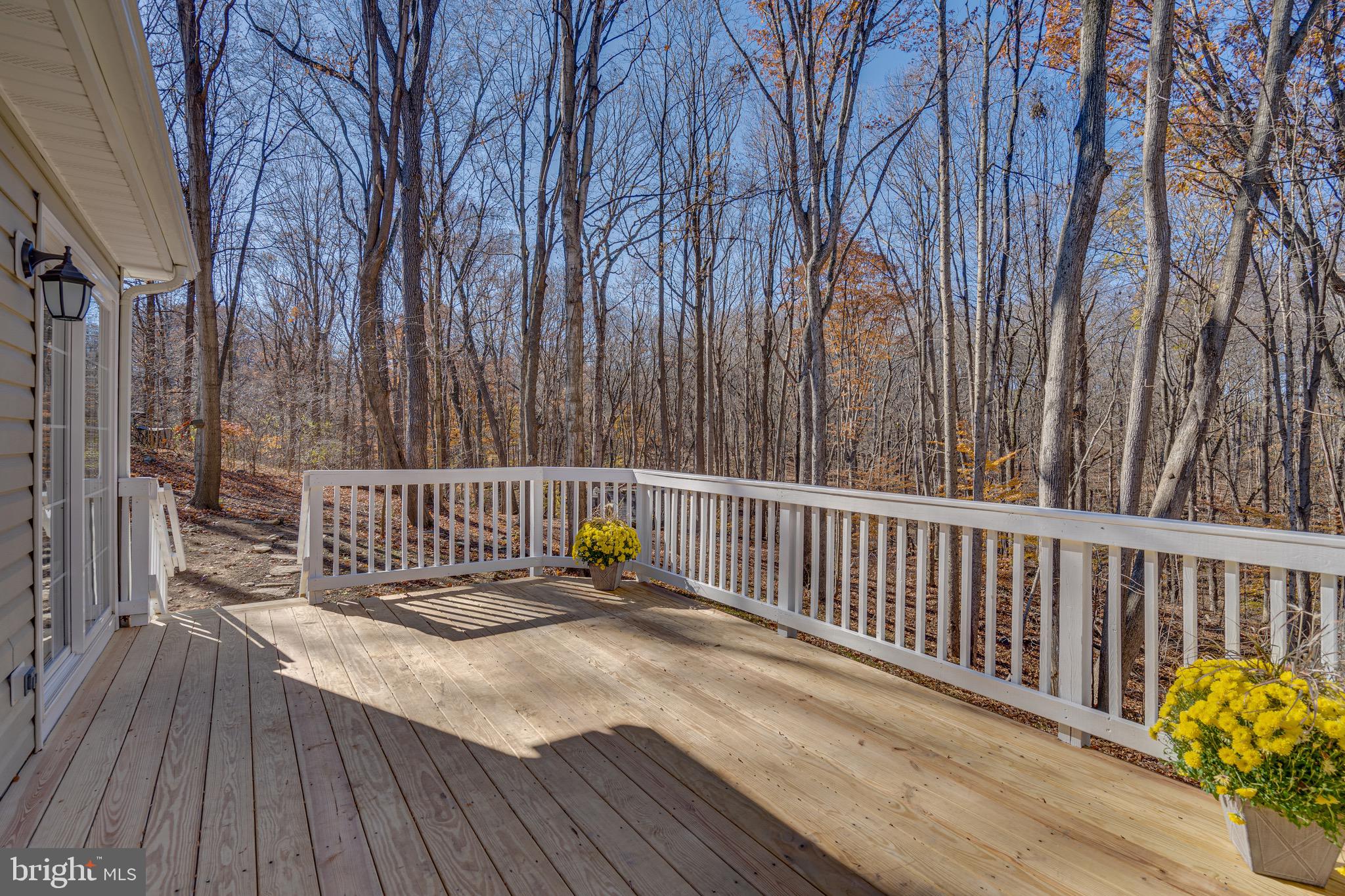 POTOMAC HILLS - Residential