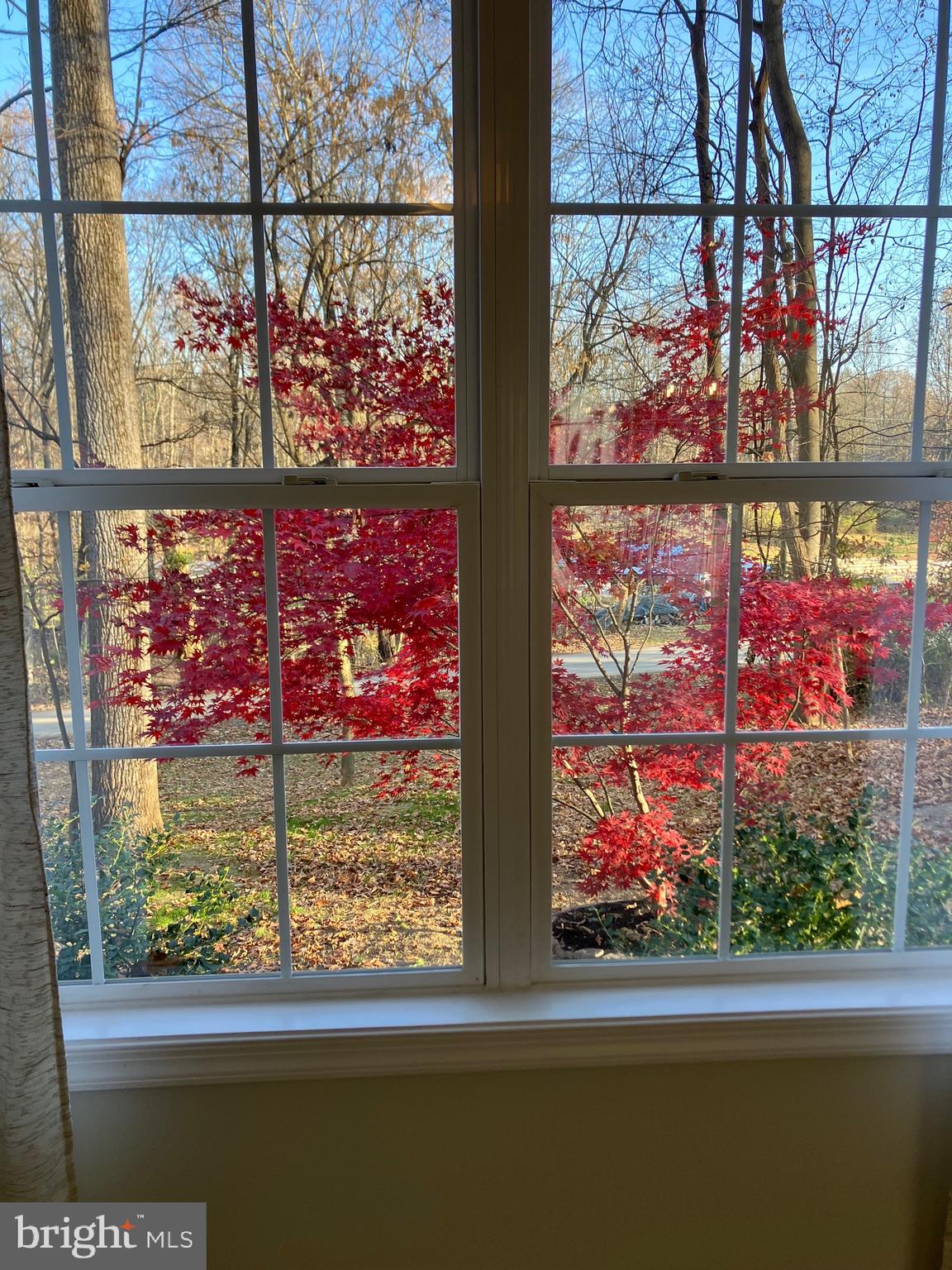 POTOMAC HILLS - Residential