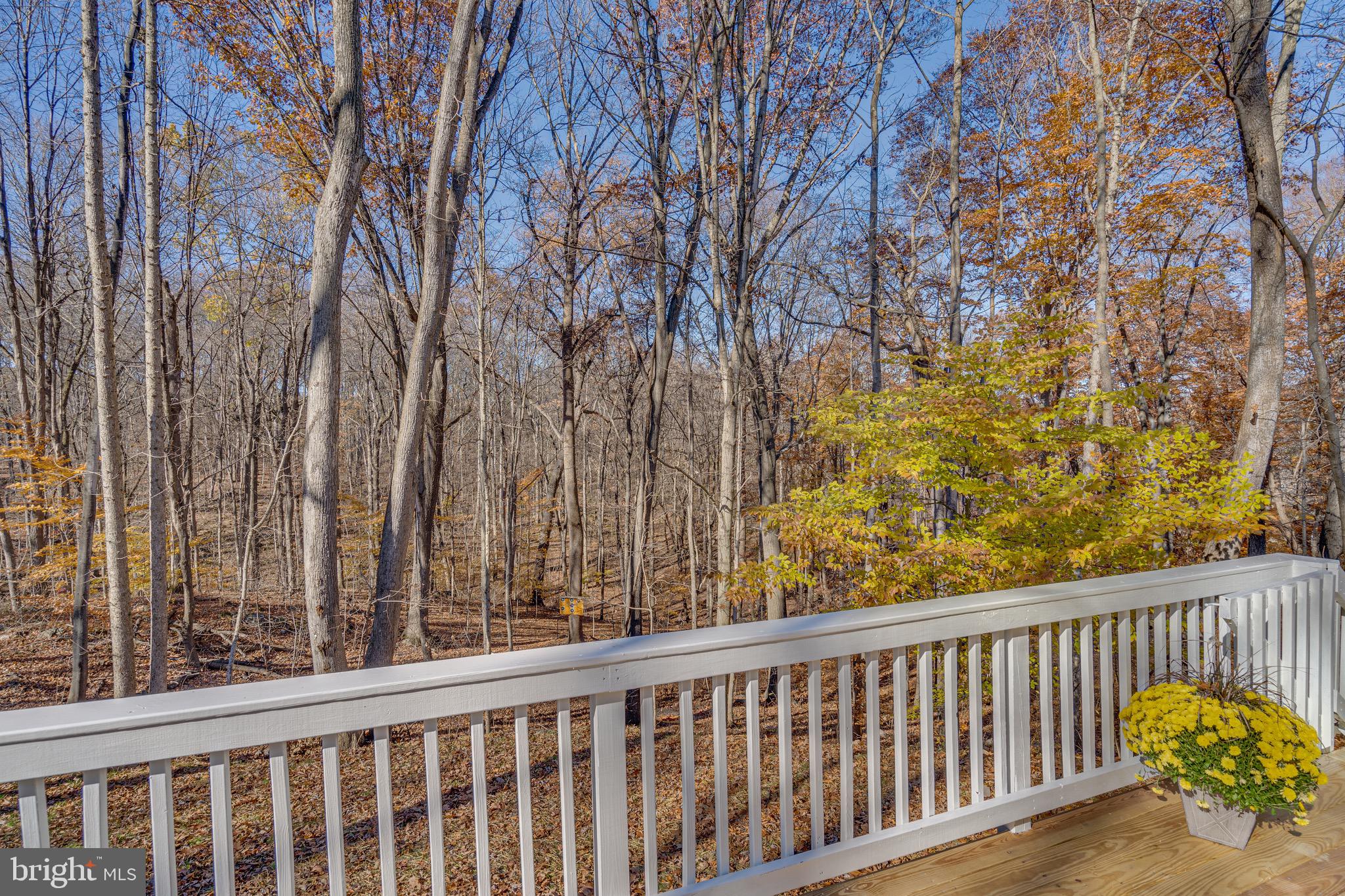 POTOMAC HILLS - Residential