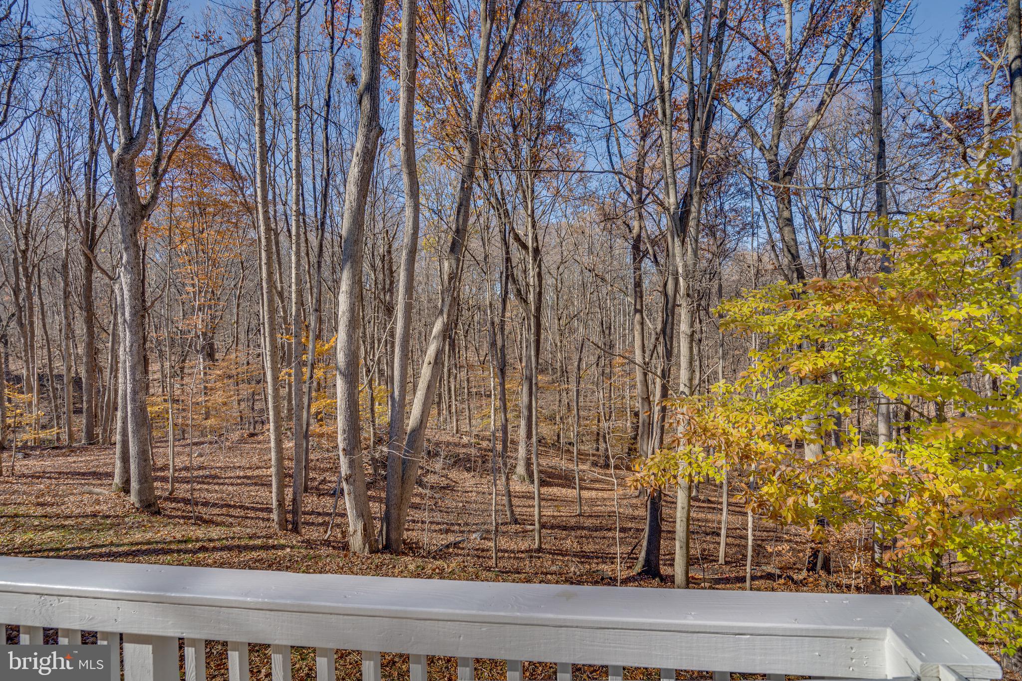 POTOMAC HILLS - Residential