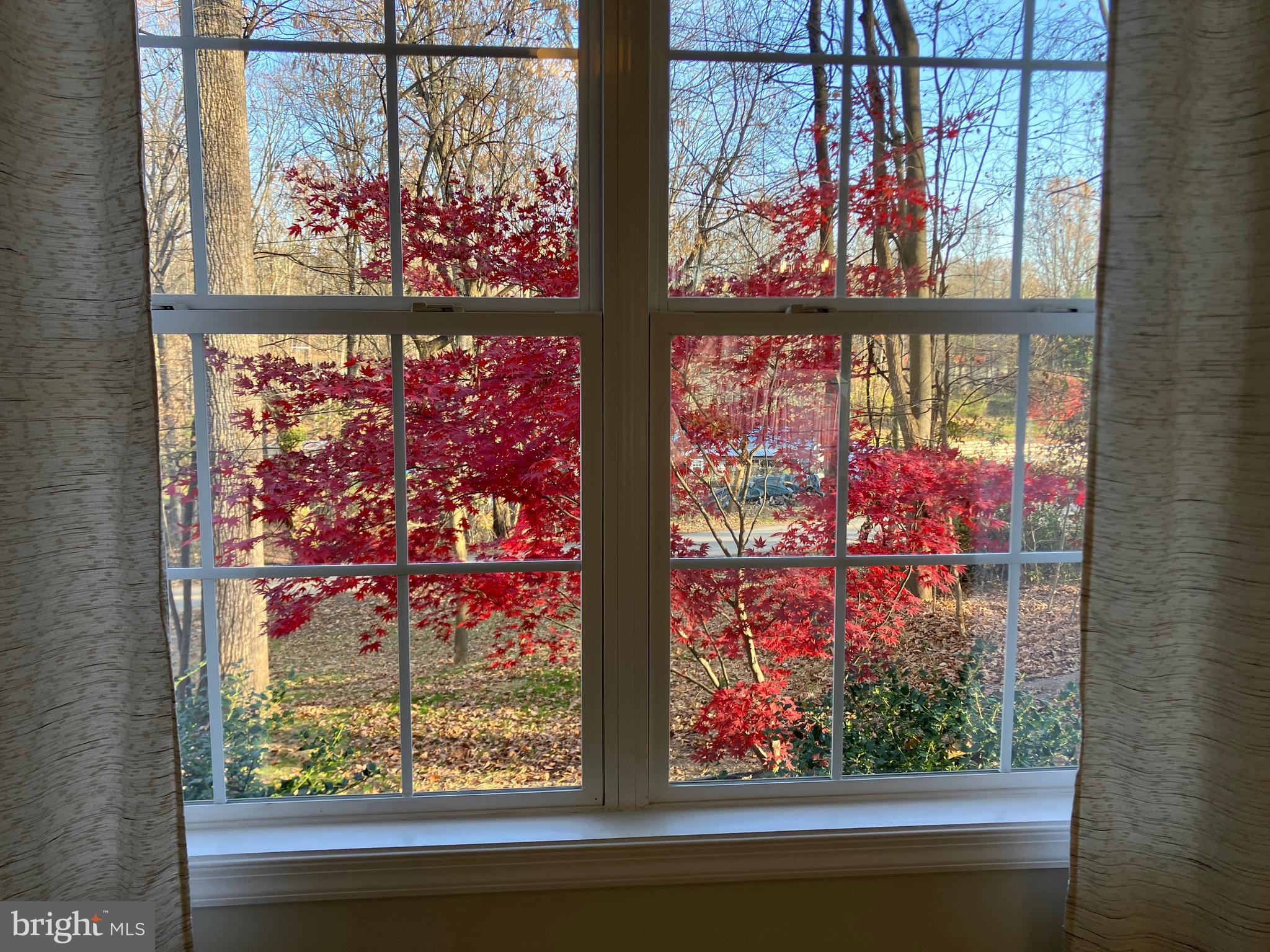 POTOMAC HILLS - Residential