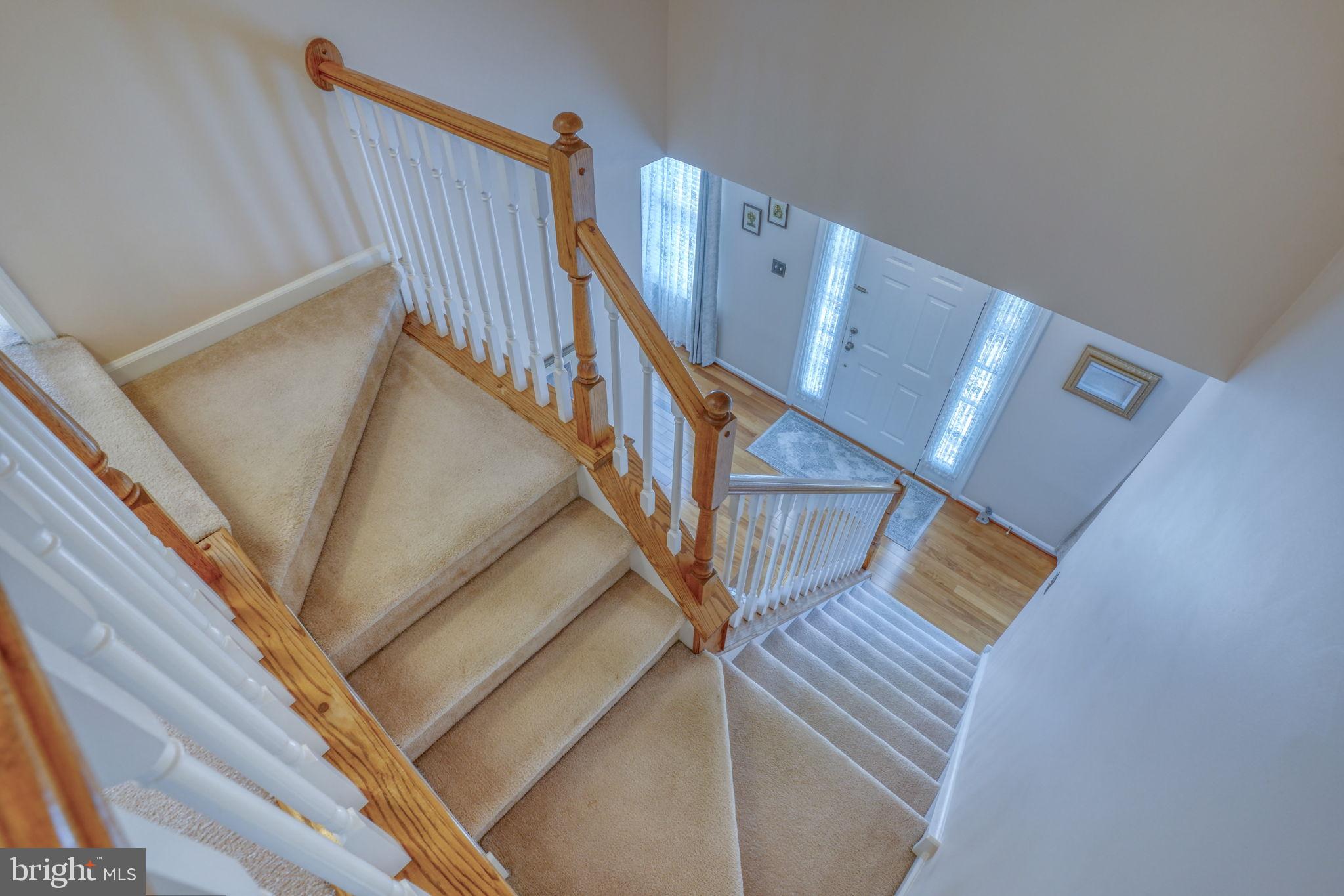 THOMAS COVE - Residential