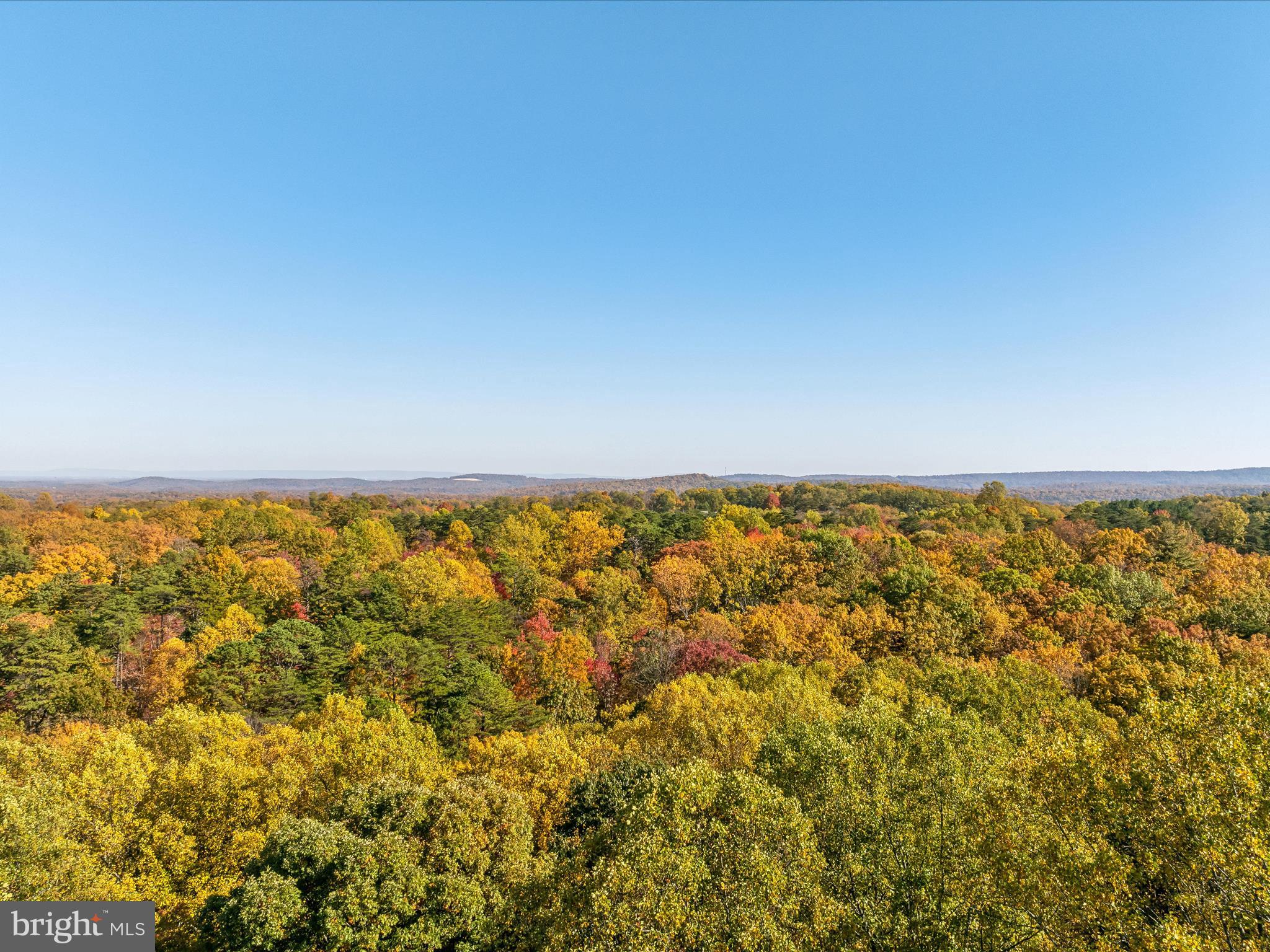 THE WOODS - Residential