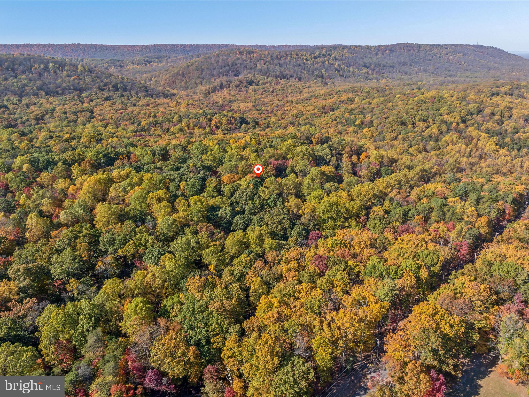 THE WOODS - Residential