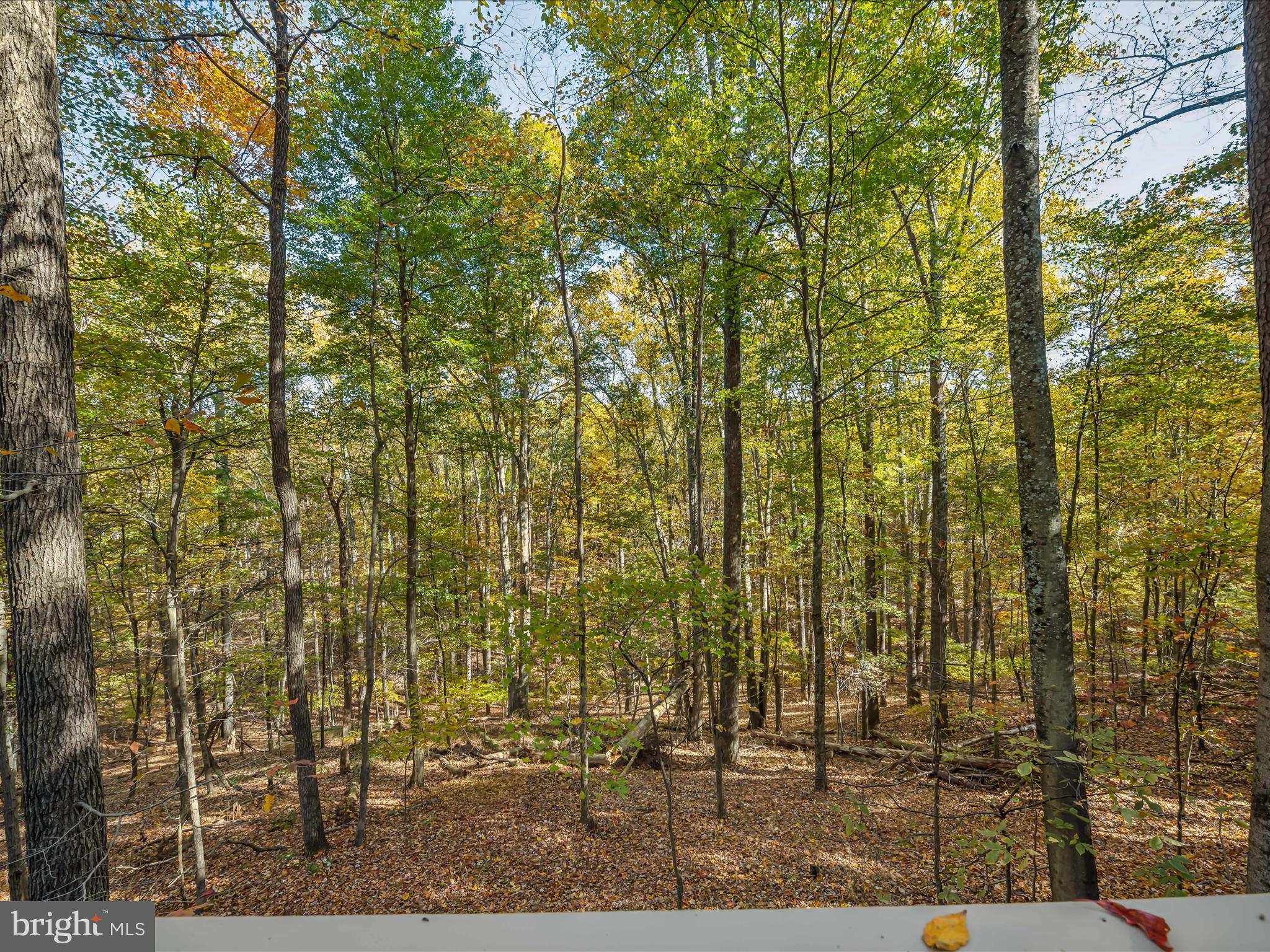 THE WOODS - Residential