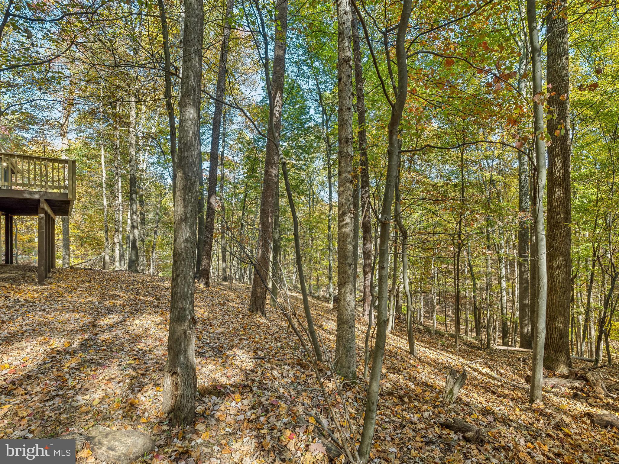 THE WOODS - Residential