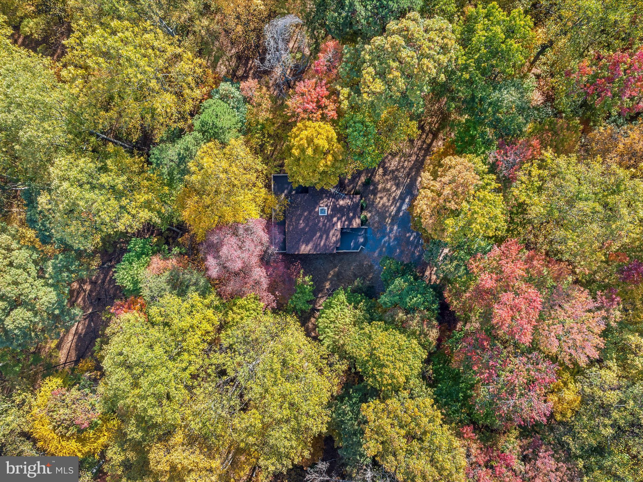 THE WOODS - Residential