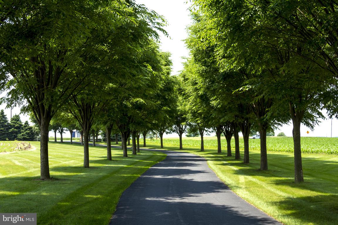 EAST HEMPFIELD - Farm