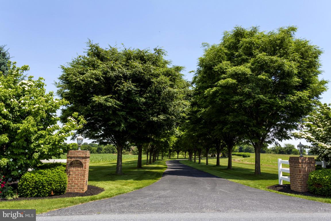 EAST HEMPFIELD - Farm