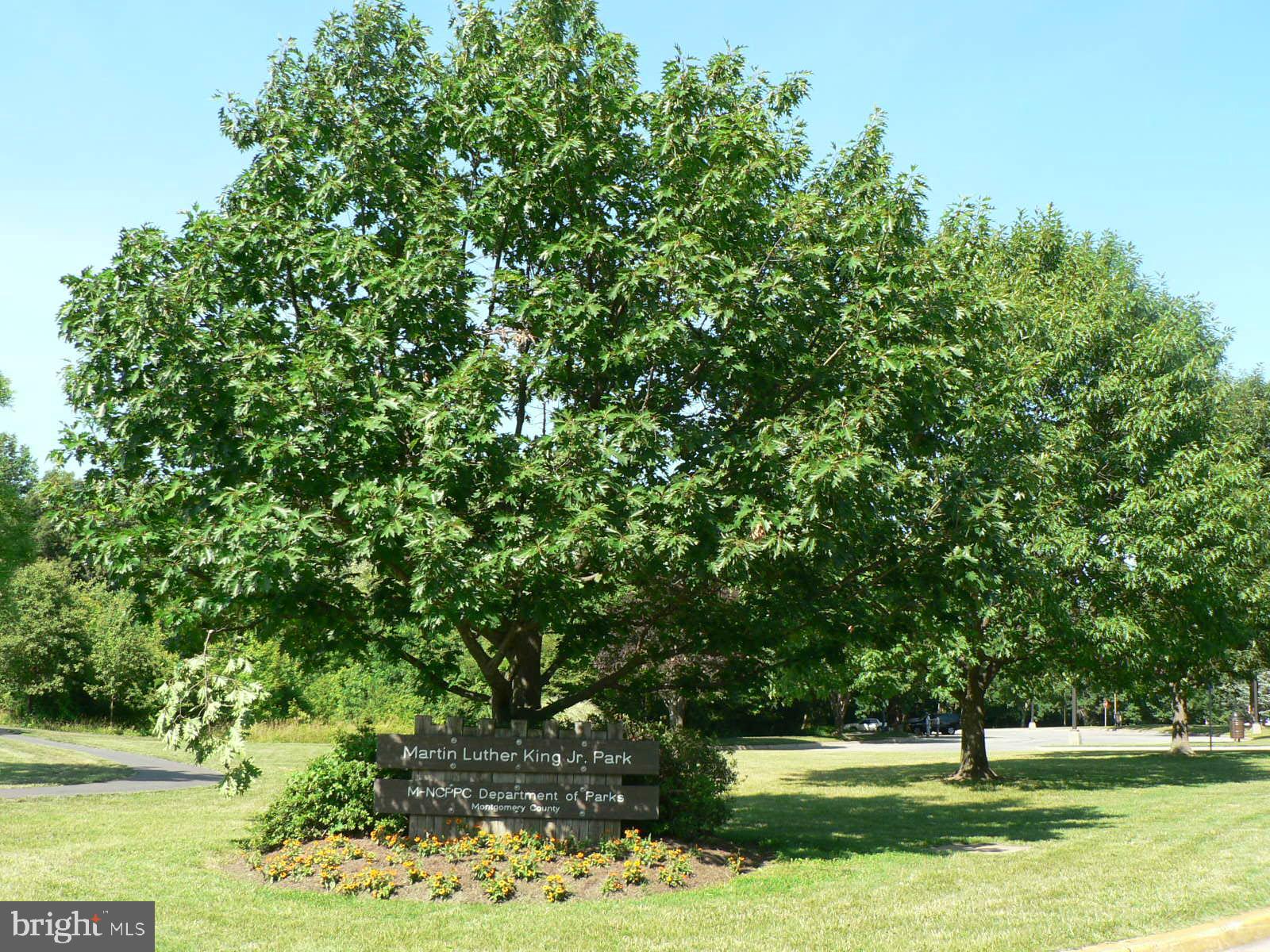 WINDHAM MANOR - Residential