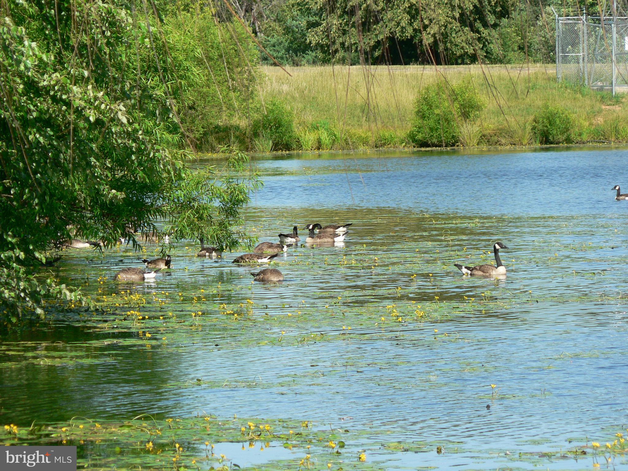 WINDHAM MANOR - Residential