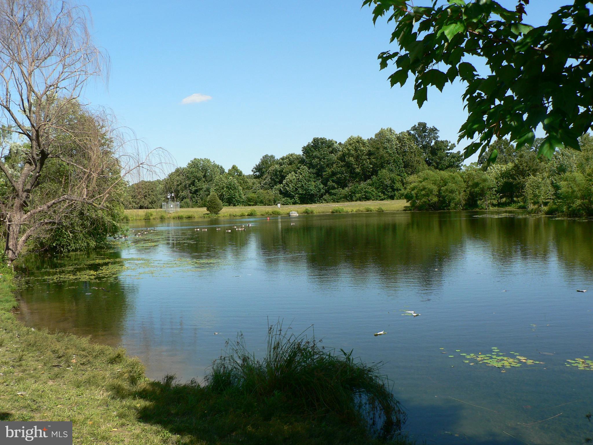 WINDHAM MANOR - Residential