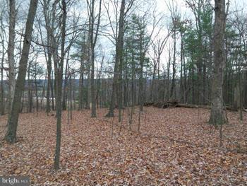 NONE AVAILABLE - Land