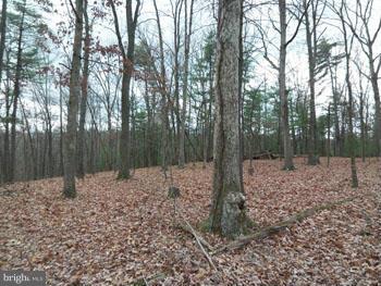 NONE AVAILABLE - Land