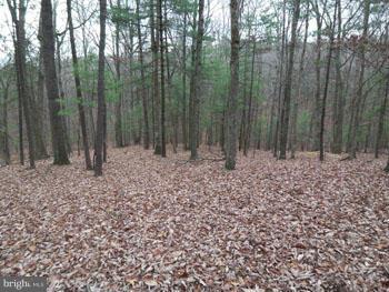 NONE AVAILABLE - Land