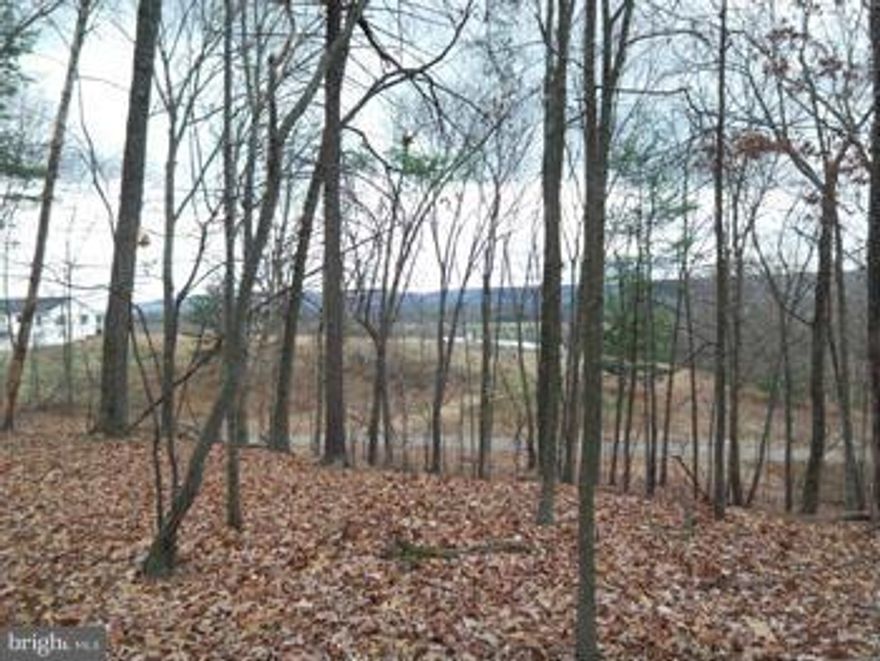 Call of the Wild ... Nature abounds on 4.45 acres of mature hardwoods and white pine trees just minutes from historic Berkeley Springs. This scenic property is located in farm country so you can enjoy overlooking the fields to the east while watching the sun rise over distant Sleepy Creek Mountain. Seller will provide current septic permit. Call today!