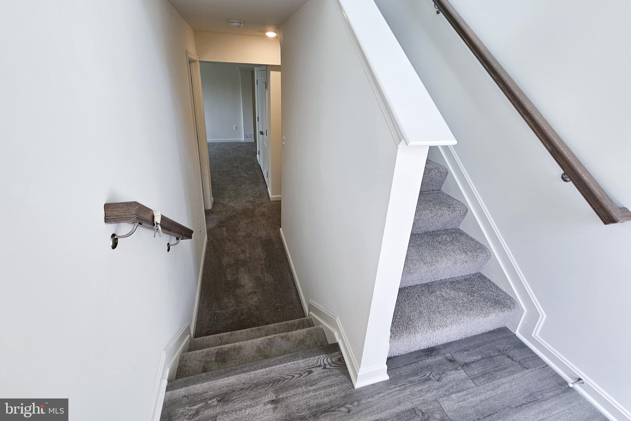 519 EVANGELINE DRIVE