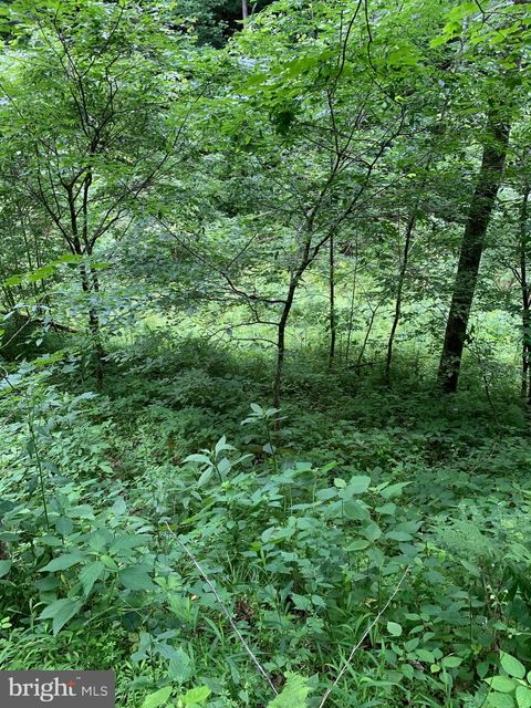 Vacant Land For Sale - Route 5<br/> RENICK, WV 24966