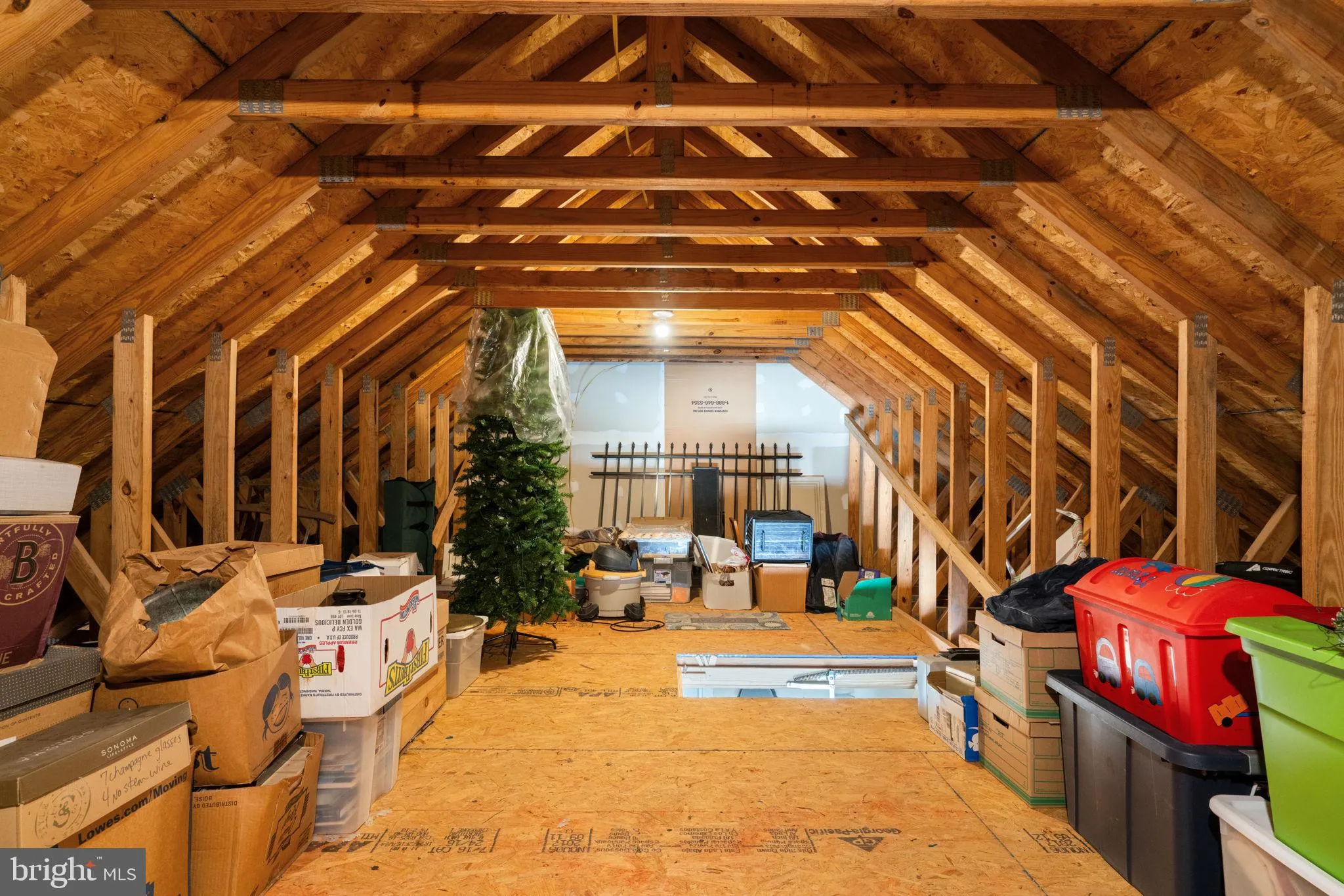 Fredericksburg, Virginia 22401, United States, 4 Bedrooms Bedrooms, ,3 BathroomsBathrooms,Residential,Active,120601